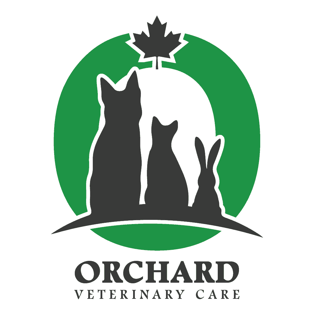 Orchard Vet Clinic