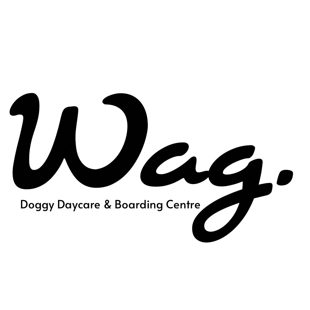 Wag Doggy Daycare & Boarding Center
