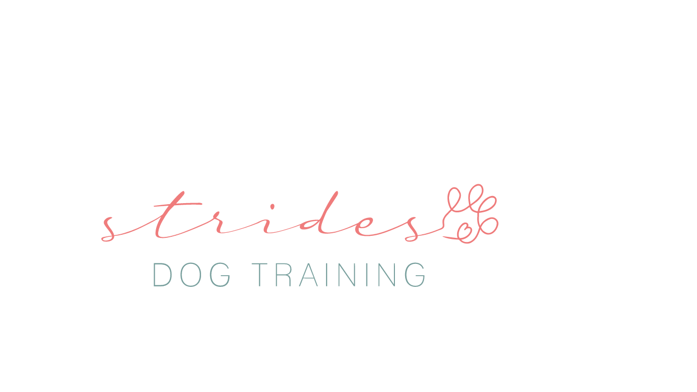 Strides Dog Training